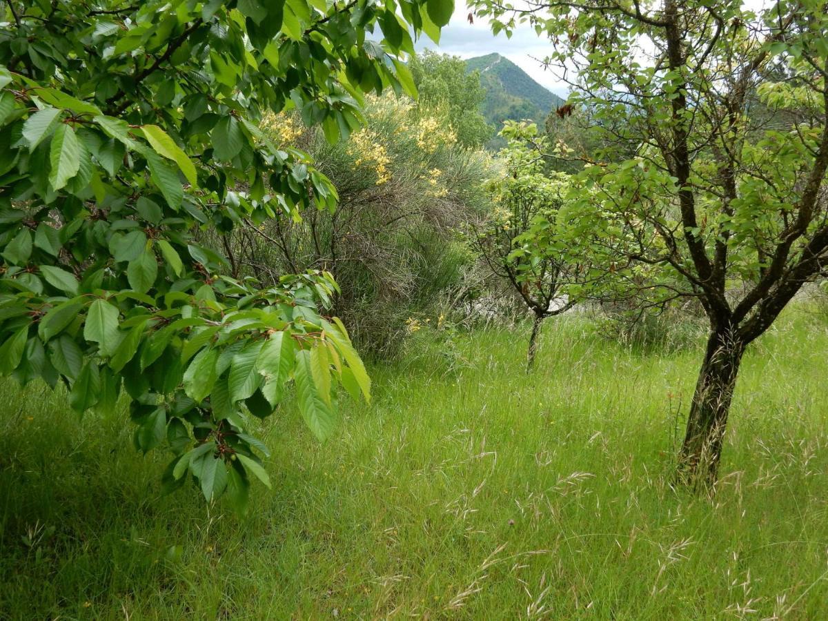 Cosy With Garden Vakantiehuis Ponet-et-Saint-Auban